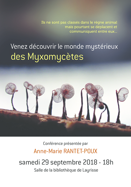 Conférence sur les myxomycètes - Bibliothèque de Layrisse