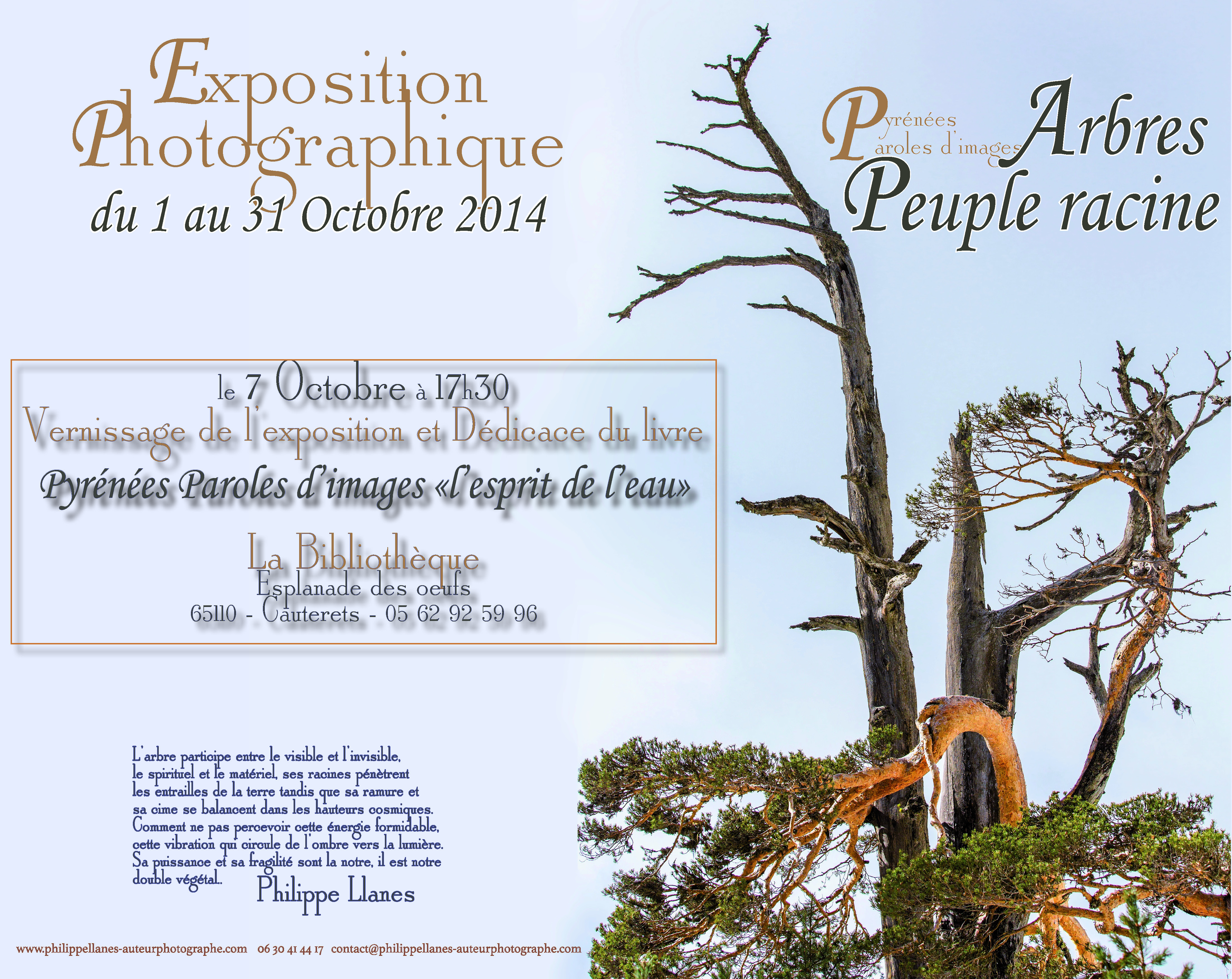 affiche expo arbre paysage Cauterets
