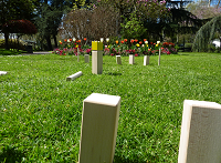 kubb